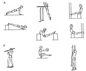 Схема упражнений с гантелями для мужчин и женщин